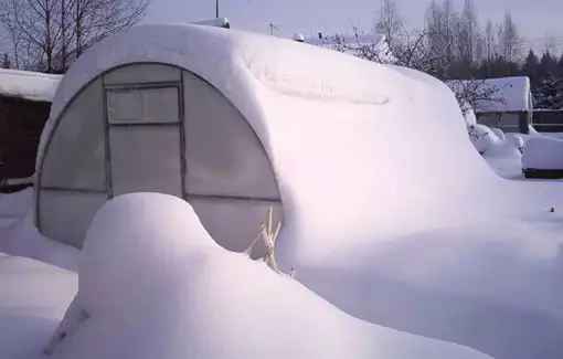 Наша крепкая теплица